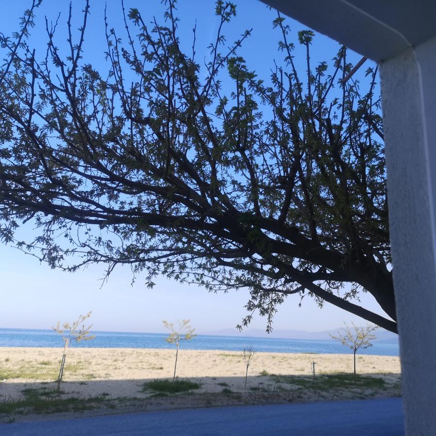 Greece Asprovalta Rooms Accomodation Apartment Hotel Petalo Bagian luar foto